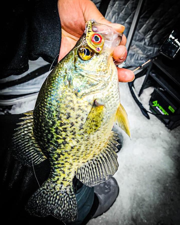 FishDaddy Dirty Bomb Minnow