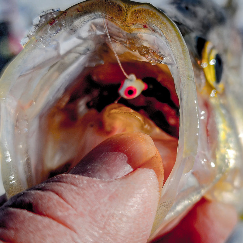 FishDaddy Boller BioSilicone Glow Plastics (BGP)