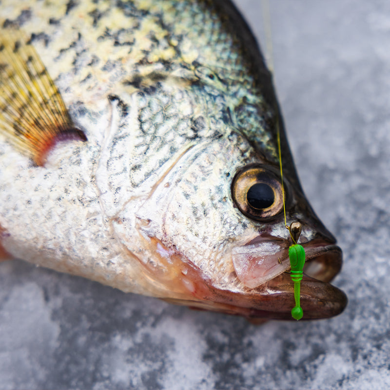 FishDaddy Boller BioSilicone Glow Plastics (BGP)