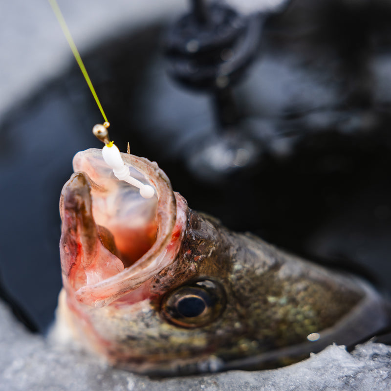 FishDaddy Boller BioSilicone Glow Plastics (BGP)