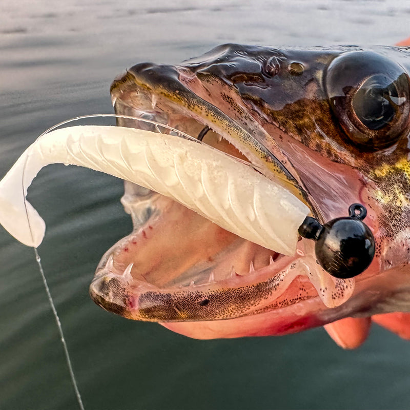 FishDaddy Spike J-Shad BioSilicone Soft Plastics