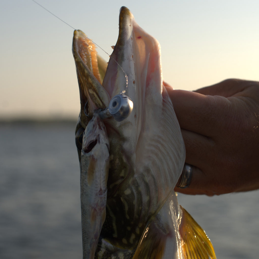 FishDaddy GloEye Jig Kit | Includes: Micro LED, Glass Rattle, & Glow Flare