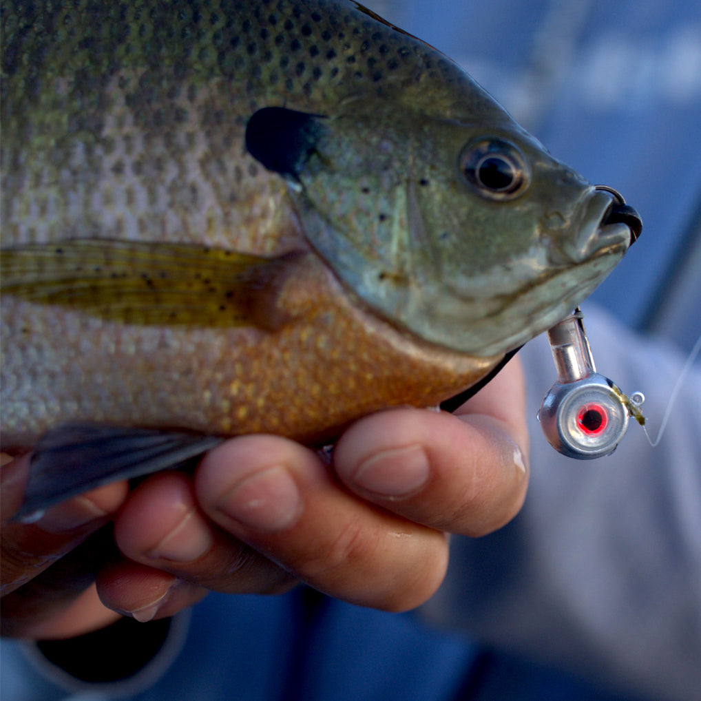 FishDaddy GloEye Jig Kit | Includes: Micro LED, Glass Rattle, & Glow Flare