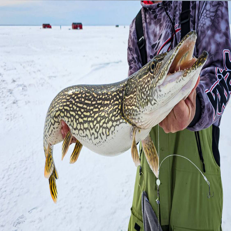 FishDaddy Grim Reaper Rig