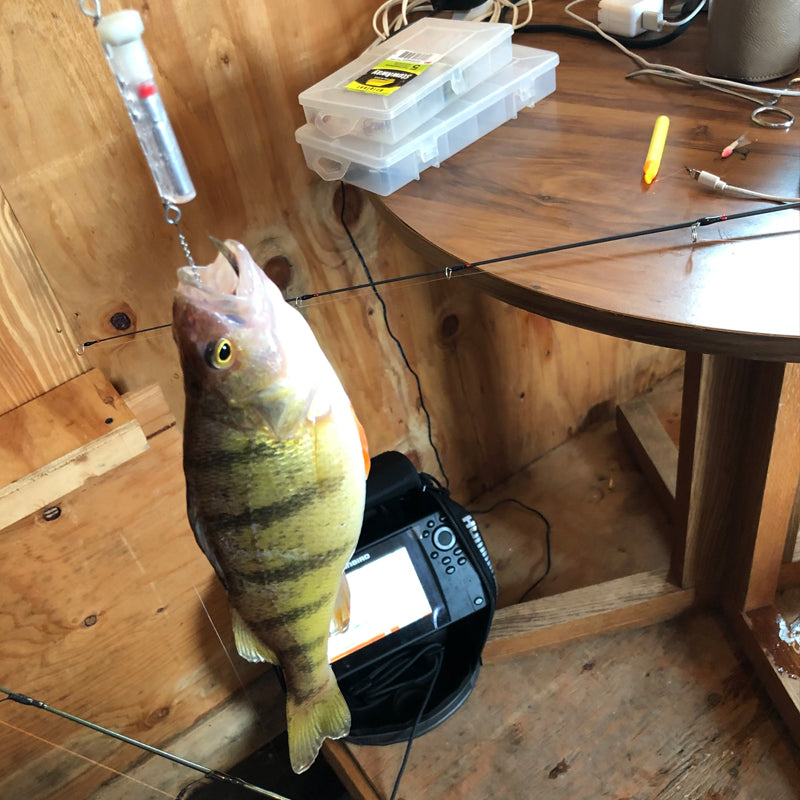 FishDaddy Jig-Flare Dropper Spoon