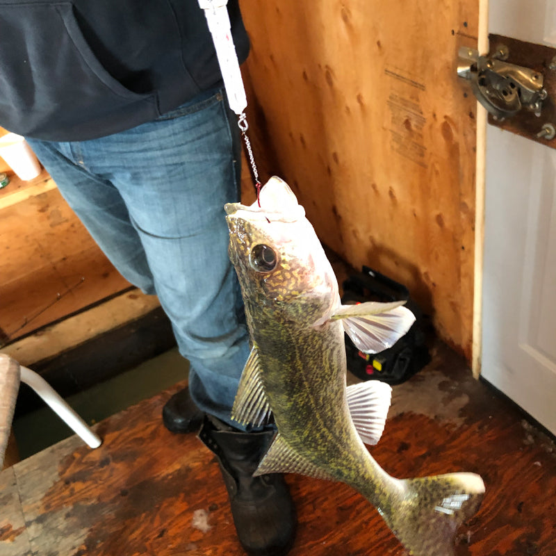 FishDaddy Jig-Flare Dropper Spoon