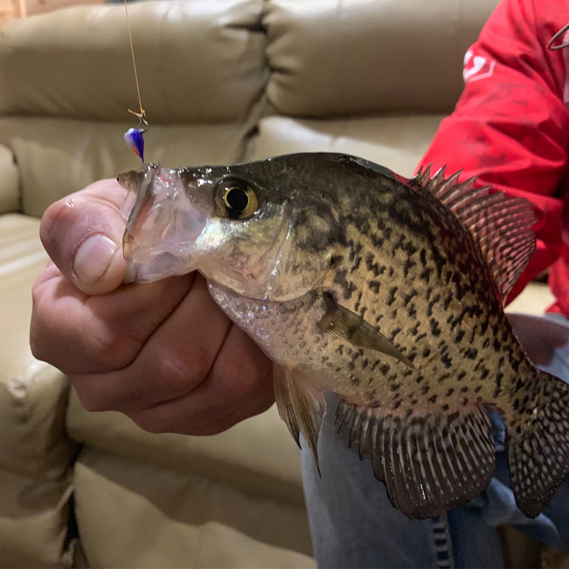 FishDaddy Dip & Rip Tungsten Jigs