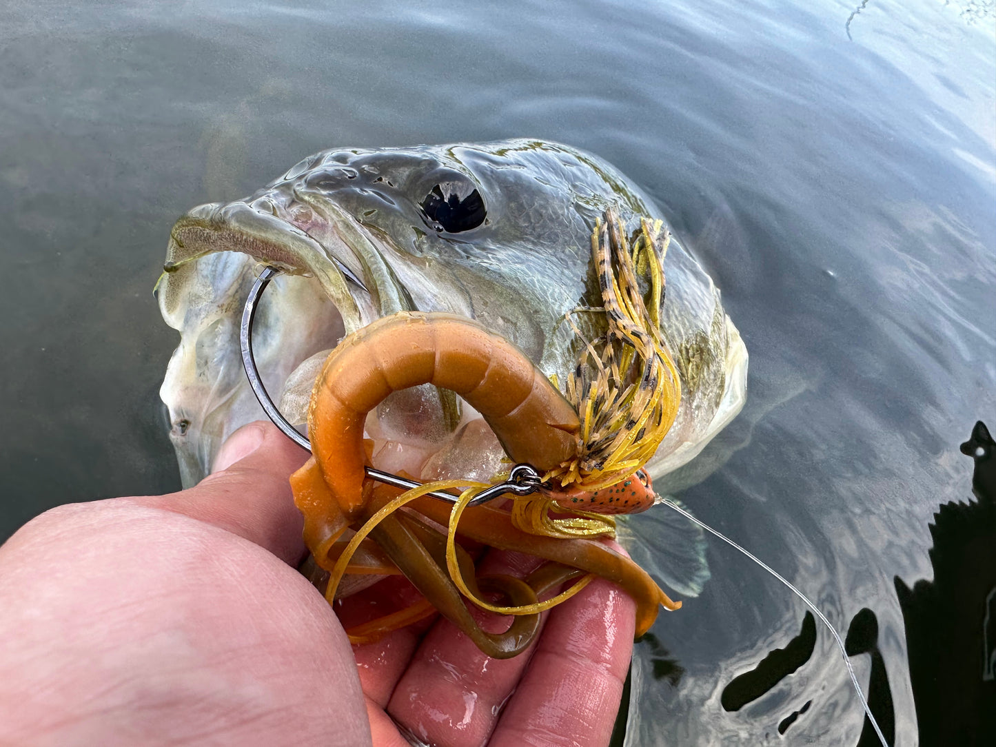FishDaddy Quad Tail BioSilicone Soft Plastics