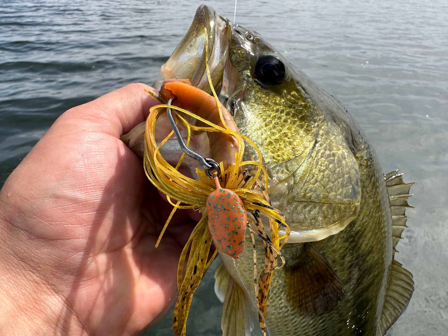 FishDaddy Quad Tail BioSilicone Soft Plastics