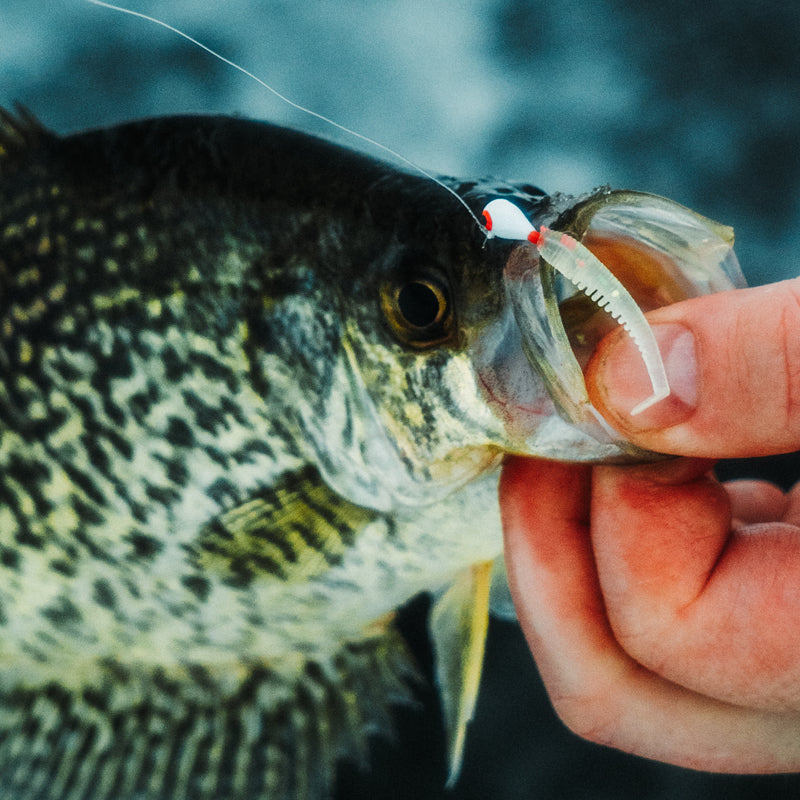 FishDaddy Lucky J-Shad BioSilicone Glow Plastics (BGP)