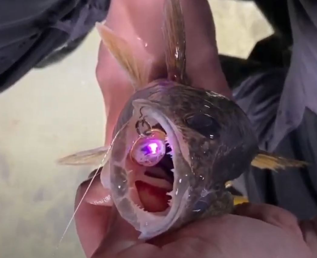 FishDaddy Dirty Bomb Spoon