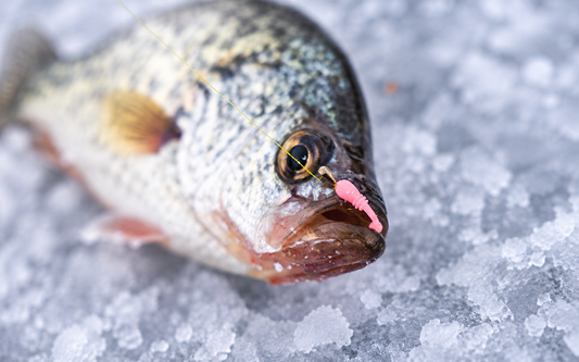 How to Fish Soft Plastics for Panfish Through the Ice