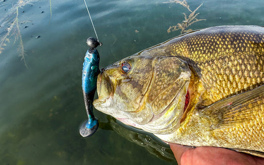 How to Fish a Paddle Tail Soft Plastic