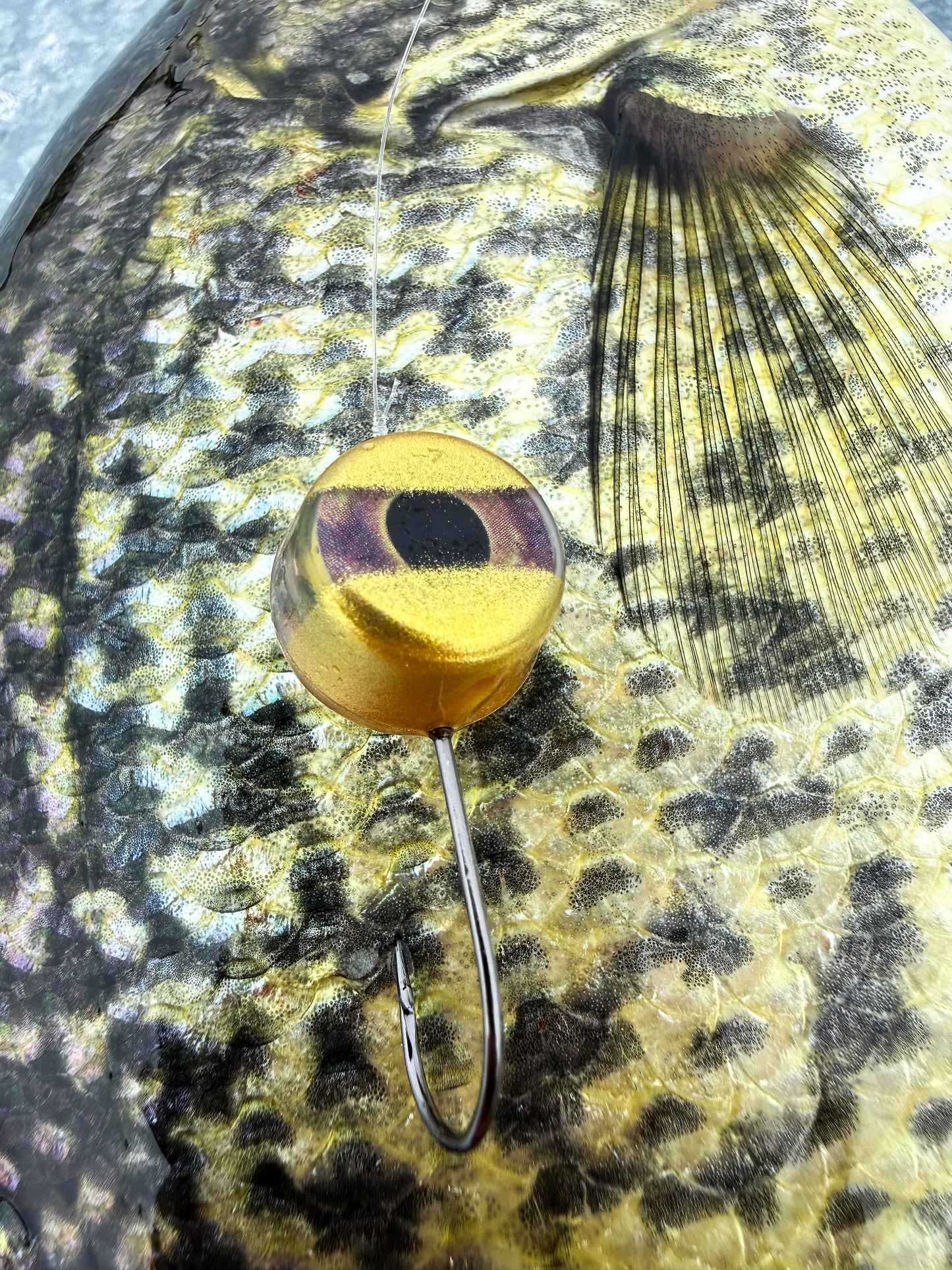 Dirty Bomb Live Wire